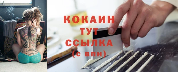 PSILOCYBIN Навашино