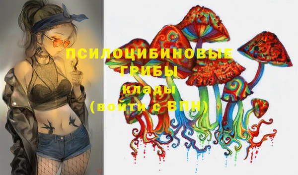 PSILOCYBIN Навашино