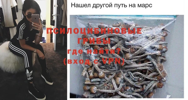 PSILOCYBIN Навашино